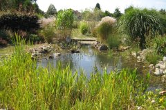 Gartenbereich
