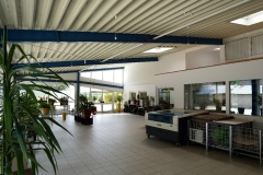 Halle-links