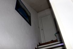IMG_3281